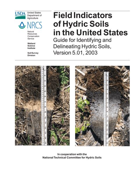 muck thickness testing|Field Indicators of Hydric Soils in the United States .